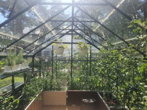 Kasvuhoone taimepotid