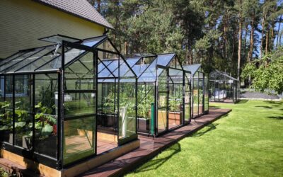 Kasvihuoneen kiinnitys – perustus, pohja tai runko?